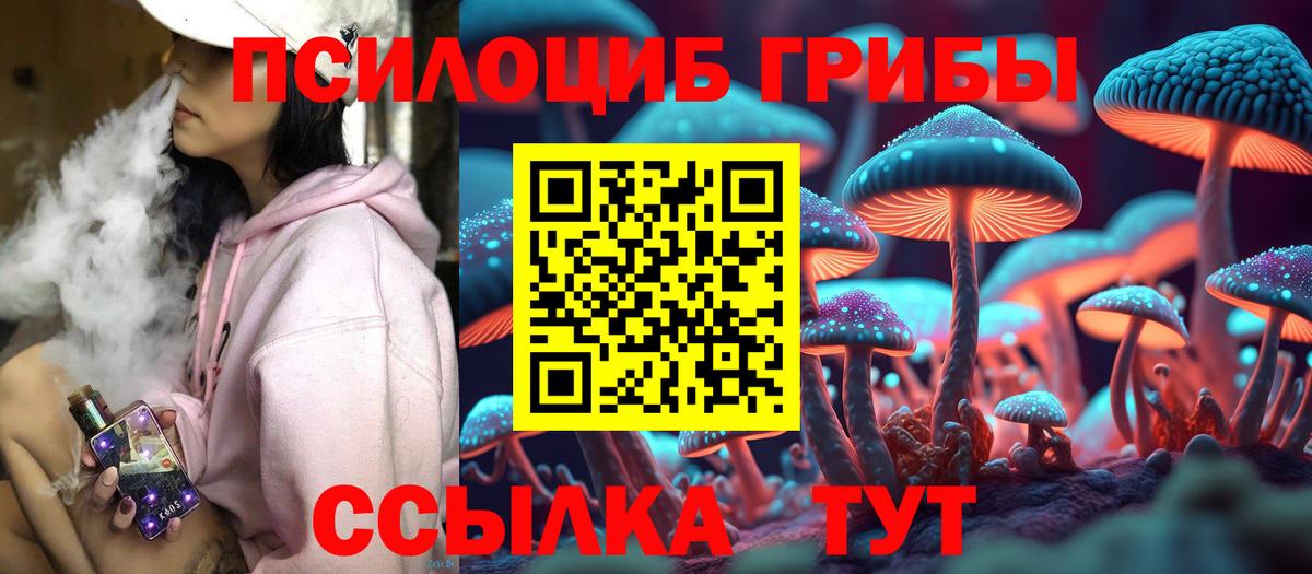 Псилоцибиновые грибы мицелий Рославль