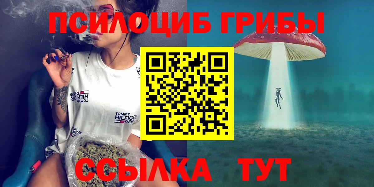 Рославль  Псилоцибиновые грибы прущие грибы  Вход с VPN 